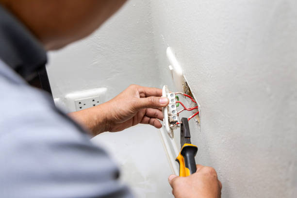 Best Electrical Repair Services  in Wayland, MI