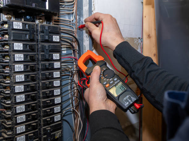 Best Electrical Troubleshooting Services  in Wayland, MI